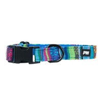 Pure Western Animals Bowie Collar (P5W2955CLR) Blue