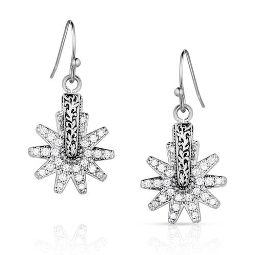 Montana Jewellery Spur of the Moment Earrings (ER5823)