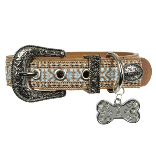 Pure Western Animals Nikki Dog Collar (P4S2965CLR) Aqua XS