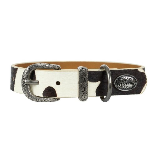 Pure Western Animals Adelaide Collar (P5W2954CLR) Black/White XS