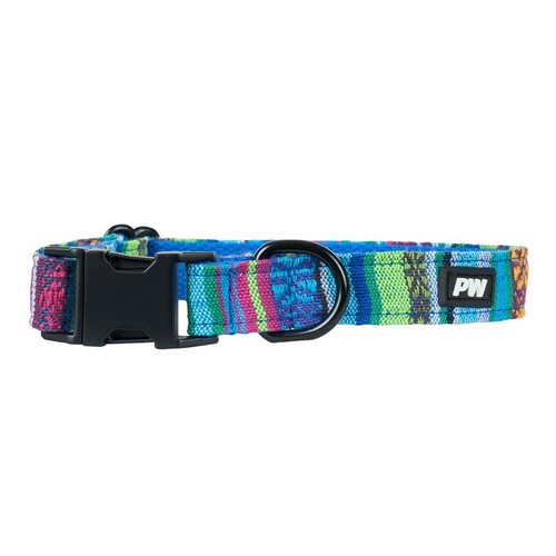 Pure Western Animals Bowie Collar (P5W2955CLR) Blue XS