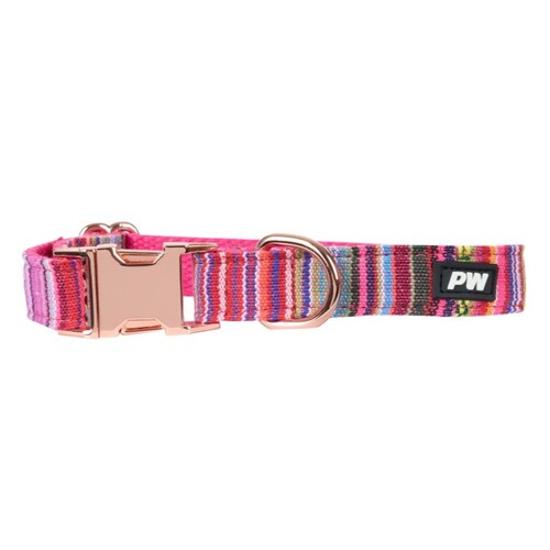 Pure Western Animals Bowie Collar (P5W2955CLR) Pink XS