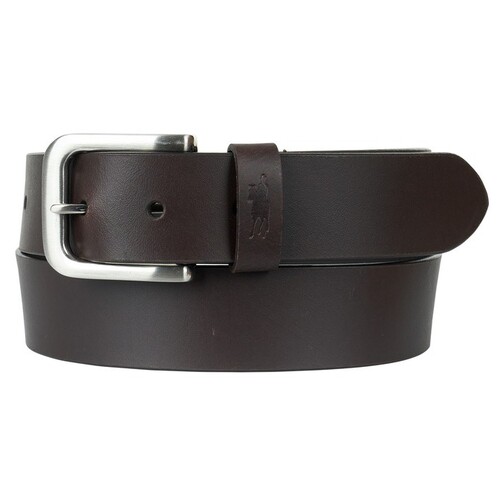 Thomas Cook Cameron Belt (T5W1979BEL) Chocolate S