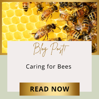 Care for Bees > Help Our Farmers > Help Our Environment