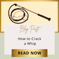 How to Crack a Whip